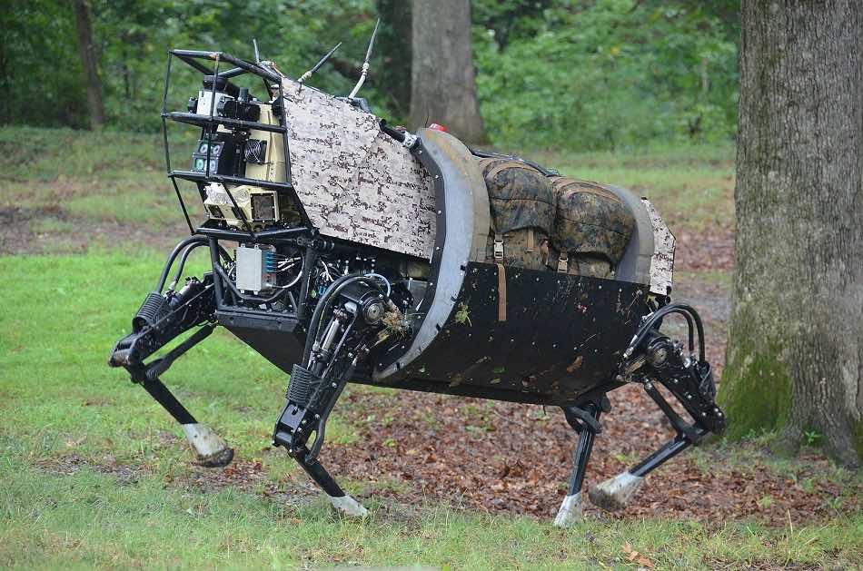 robot dog